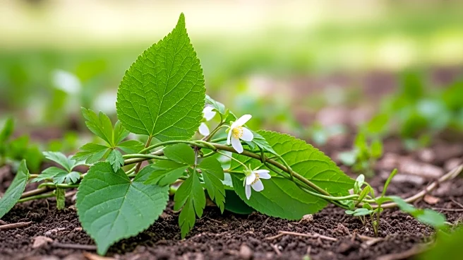 Davidsons Homes Secures Biodiversity Net Gain Units for Queniborough Development