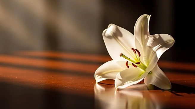 Felix Burkett Garrett's Legacy Celebrated in Obituary