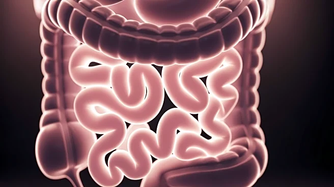 Gastroenterologists Explain Why Women Are More Prone to Irritable Bowel Syndrome
