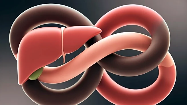 Gut-Liver Axis Explored in Combined Radiation and Burn Injury Model