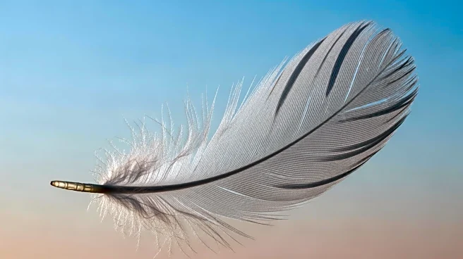 Increasing COPD Rates Among Women Highlight Health Concerns