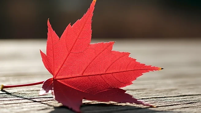 University of Edinburgh Researchers Identify Genetic Link to Impaired Wound Healing in Redheads