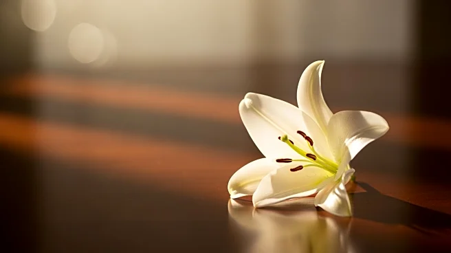 Obituary: Christopher E. Self Passes Away at 53