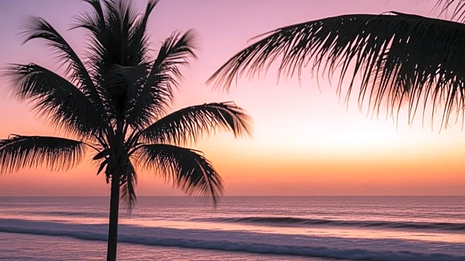 South Florida Experiences Warm Evening with Cooling Breeze