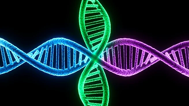 Triple Therapy Induces Strong Immune Response Against Leukemia in Preclinical Model