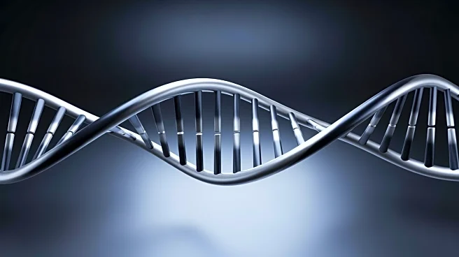 Prostate Cancer Foundation Launches Genetic Testing Guide for Advanced Prostate Cancer