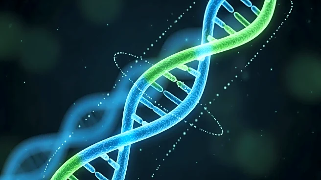 Utrecht University Develops Fluorescent Sensor for Real-Time DNA Damage Monitoring