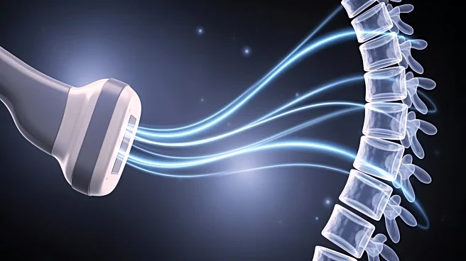 Spinal Cord Neuromodulation Using Ultrasound Shows Promise for Blood Pressure Control