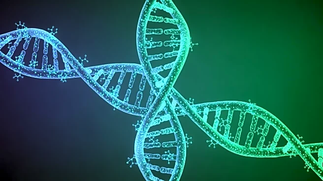 Cornell Researchers Develop New DNA Sequencing Technology to Unlock Genome's Hidden Half