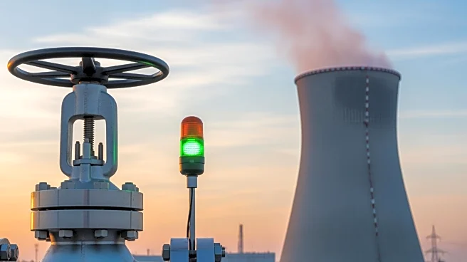 Japan Moves Towards Restarting Kashiwazaki-Kariwa Nuclear Plant Post-Fukushima