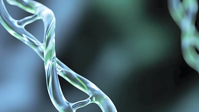 Research Identifies TGF-β's Role in Prostate Cancer Cell Response and Potential Therapeutic Pathways