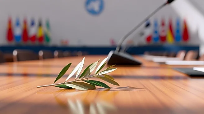 French Activist Influences Macron to Recognize Palestinian State at UN