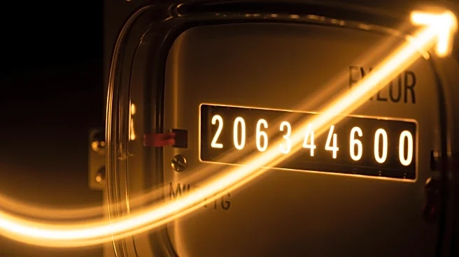 Florida Power  Light's Rate Increase to Impact 12 Million Floridians