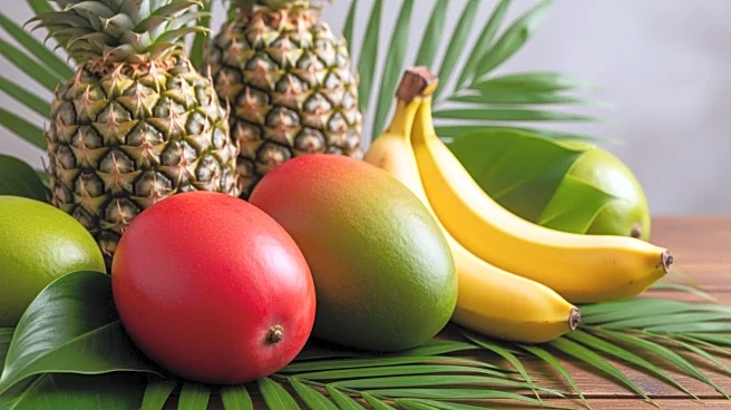 La Réunion's Agricultural Model Showcased at Paris International Agriculture Salon