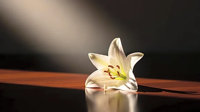 Tatiana Schlossberg's Leukemia Diagnosis Adds to Kennedy Family Tragedies