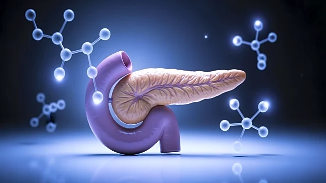 Pancreatic Cancer's Rising Incidence and Detection Challenges Highlighted by Health Experts