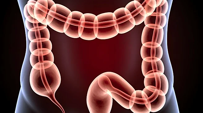 Colorectal Cancer Early Warning Signs Highlighted in New Study