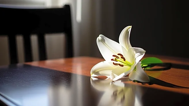 Tatiana Schlossberg Reveals Terminal Leukemia Diagnosis, Criticizes Cousin RFK Jr.