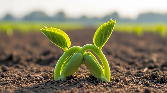Union Minister Piyush Goyal Discusses Agricultural Collaboration with Israel's Agriculture Minister