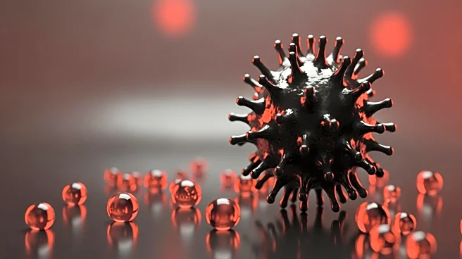 Marburg Virus Outbreak Confirmed in Ethiopia: WHO Assesses High National Risk