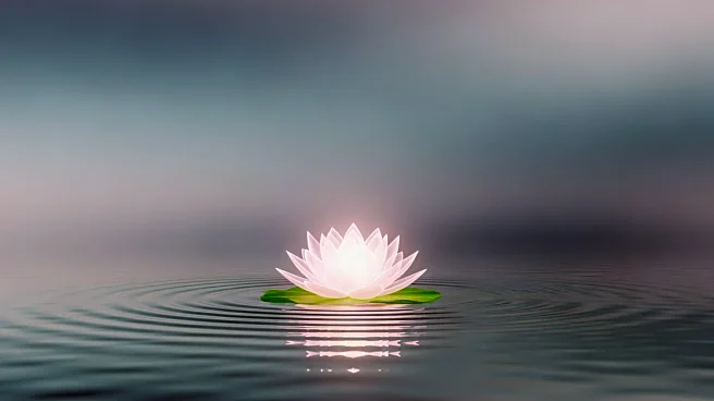 Study Finds Self-Compassion Enhances Emotional Regulation in ADHD