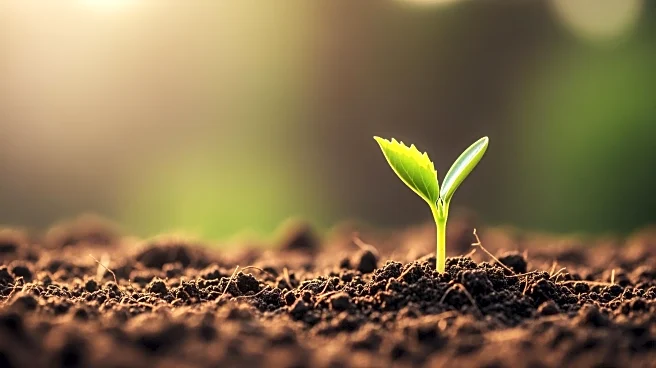 Prediabetes Reversal Possible Within Two Years Through Consistent Lifestyle Changes