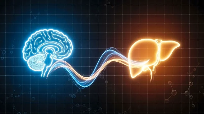 Research Identifies Brain-to-Liver Glucose Ratio as Prognostic Tool in CAR-T Therapy for Non-Hodgkin Lymphoma