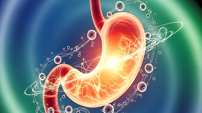 Medical Experts Highlight Early Signs of Stomach Cancer for Timely Detection