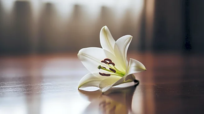 Tatiana Schlossberg, JFK's Granddaughter, Reveals Terminal Cancer Diagnosis