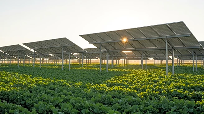 Lightsource bp Advocates for Agrivoltaic Solutions at Key Forum