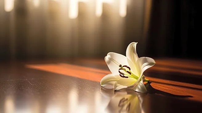 Tatiana Schlossberg, JFK's Granddaughter, Discloses Terminal Leukemia Diagnosis