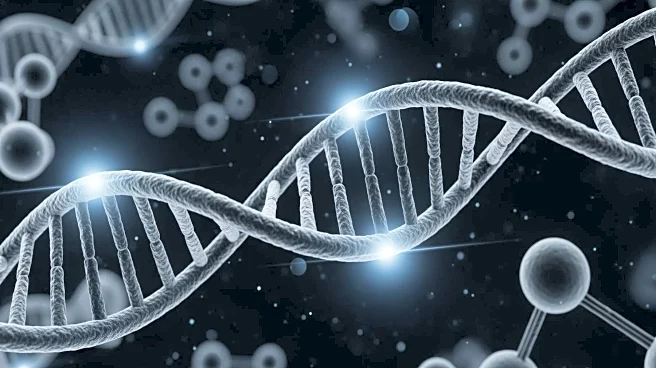 Utrecht University Develops Real-Time DNA Damage Sensor for Living Cells