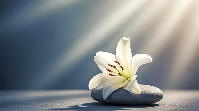 Slovenian Referendum on Assisted Dying for Terminally Ill Patients Sparks Debate