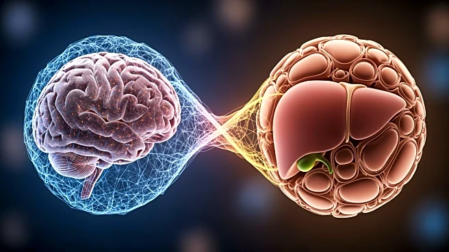 Study Reveals Prognostic Value of Brain-to-Liver Glucose Ratio in CAR-T Therapy for Non-Hodgkin Lymphoma