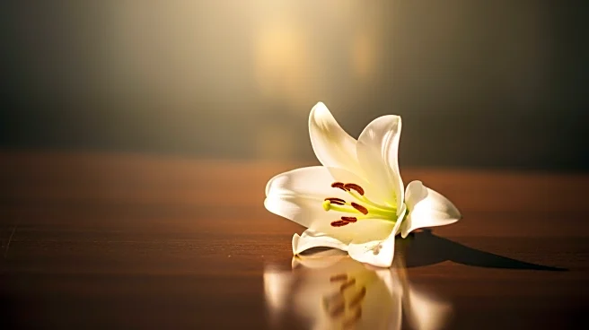 Tatiana Schlossberg, JFK's Granddaughter, Faces Terminal Cancer Diagnosis