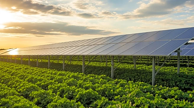 New Jersey Launches Dual-Use Solar Energy Pilot Program to Support Farmers