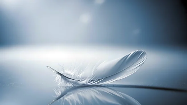 Washington State Reports First Human Death from Rare Bird Flu Strain