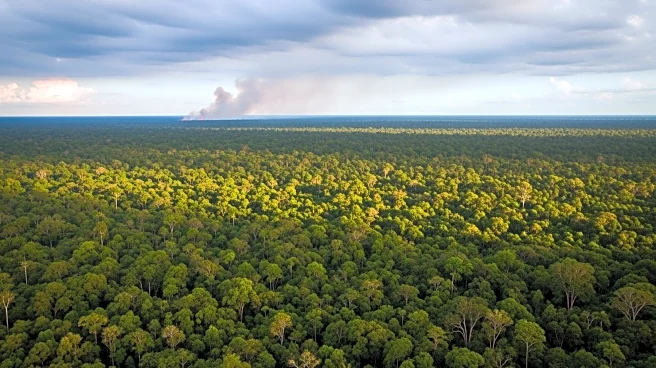 UN Climate Talks in Brazil Temporarily Halted Due to Fire Incident