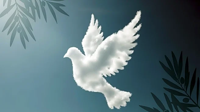 Poll Reveals Majority of Americans Oppose Military Action in Venezuela