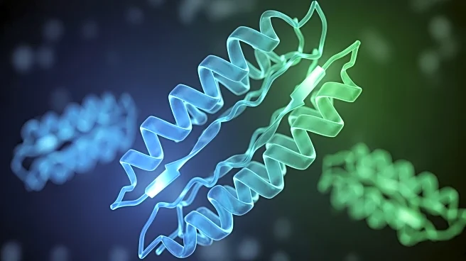 Scientists Unveil 3D Structure of ZAK Protein, Enhancing Drug Development