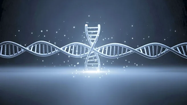 Three-Year-Old Boy Shows Remarkable Improvement with Gene Therapy for Hunter Syndrome