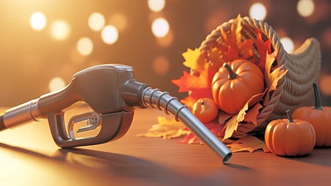 Economic Measures Lead to Lower Gas Prices and Thanksgiving Savings