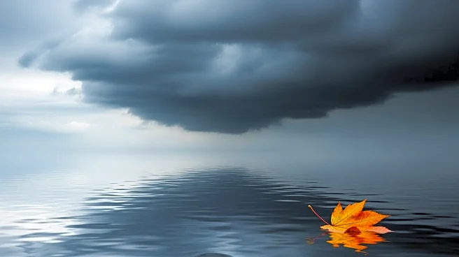 Israel Meteorological Service Issues Flood Warnings Amid Sharp Temperature Drop