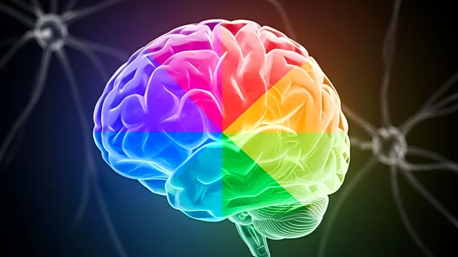 Study Reveals Major Brain Changes at Four Key Ages, Impacting Neurological Health