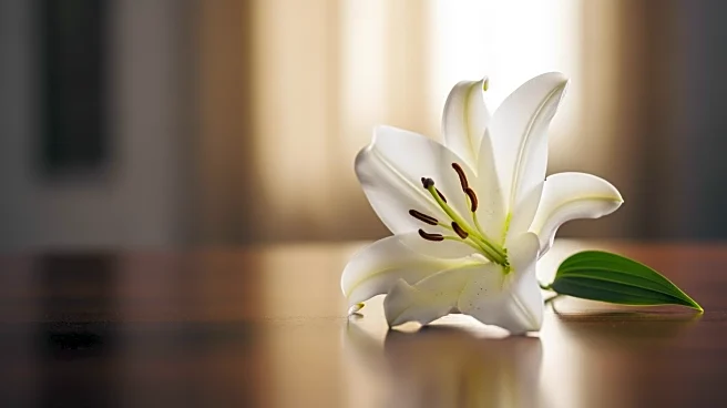 Richard Branson Announces Passing of Wife Joan at Age 80