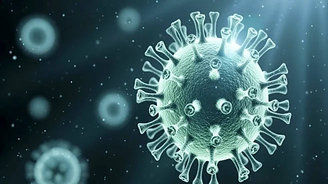 Subclade K Flu Strain Causes International Concerns