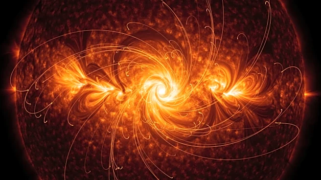 European Space Agency's Solar Orbiter Reveals Unexpected Sun Pole Dynamics