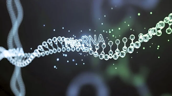 Research Uncovers Developmental Triggers of MicroRNA Decay in Mice