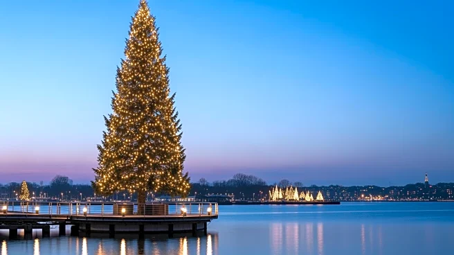 Boston's Seaport Hosts Lighting of City's Largest Christmas Tree, Drawing Large Crowds