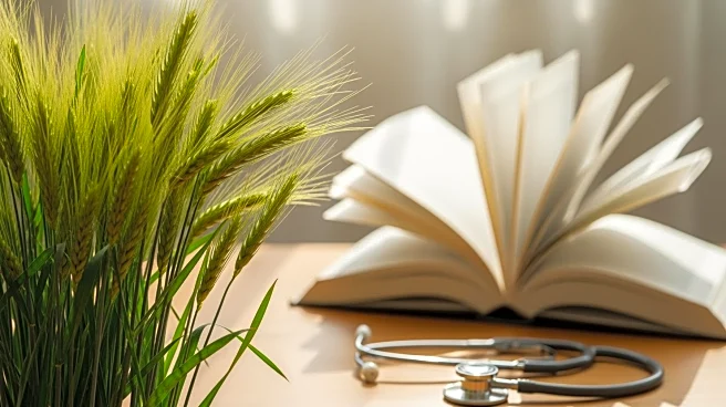 Asian Development Bank Approves $381 Million for Agriculture, Education, and Health in Punjab